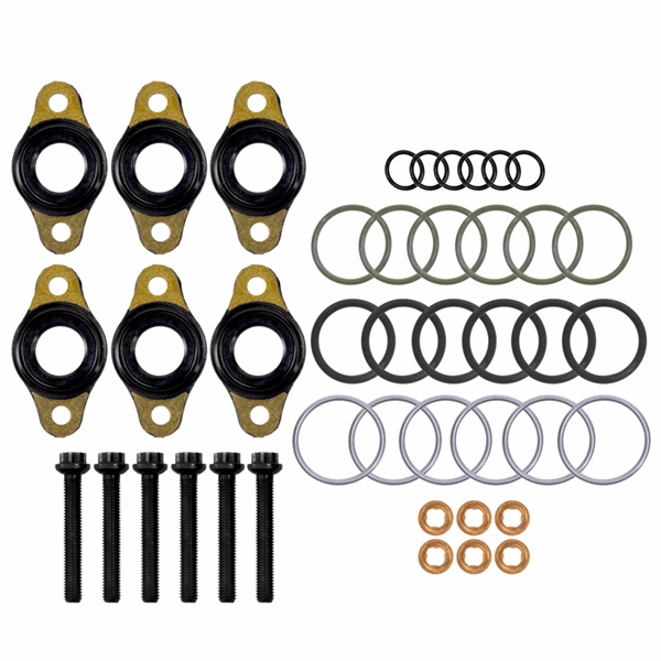 Detroit DD15 Injector O Ring Kit | Detroit A4600700987 | FleetRun FR-ENGN336