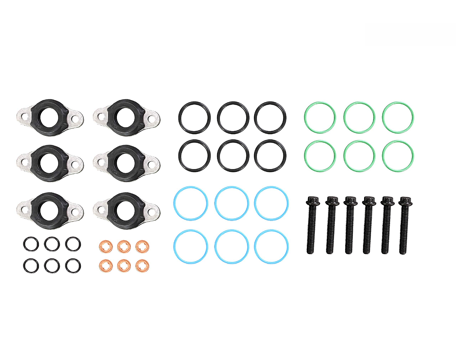 Detroit DD15 Injector O Ring Kit | Detroit A4600700987 | FleetRun FR-ENGN336