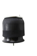 Freightliner Cascadia Drive Axle Air Spring